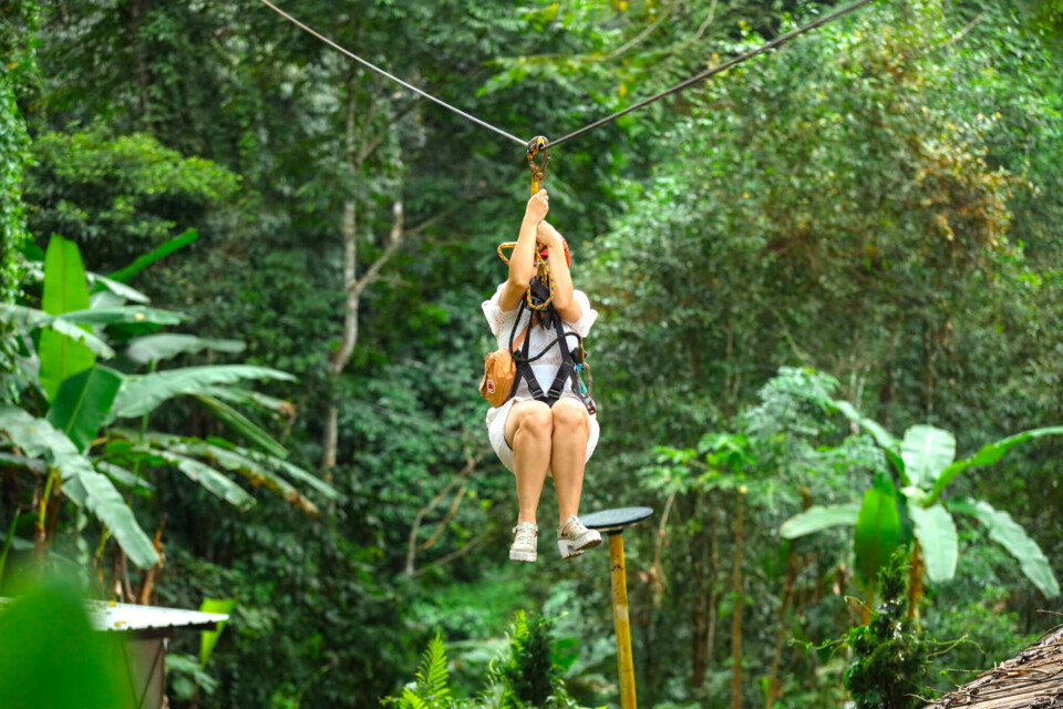 Why You Should Go for a Zipline Adventure in Chiang Mai